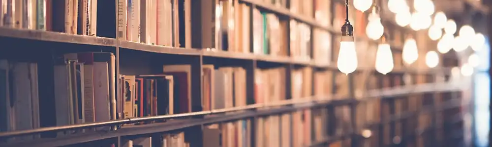 Bookshelves illuminated by hanging lightbulbs 