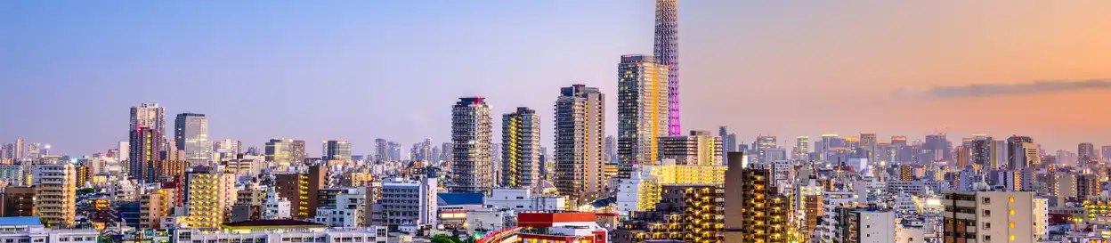 Tokyo skyline