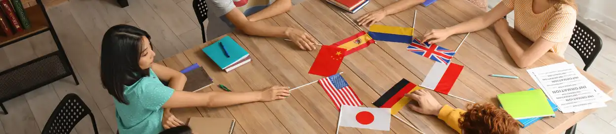 School pupils comparing national flags