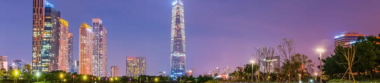 Seoul skyline in the late evening