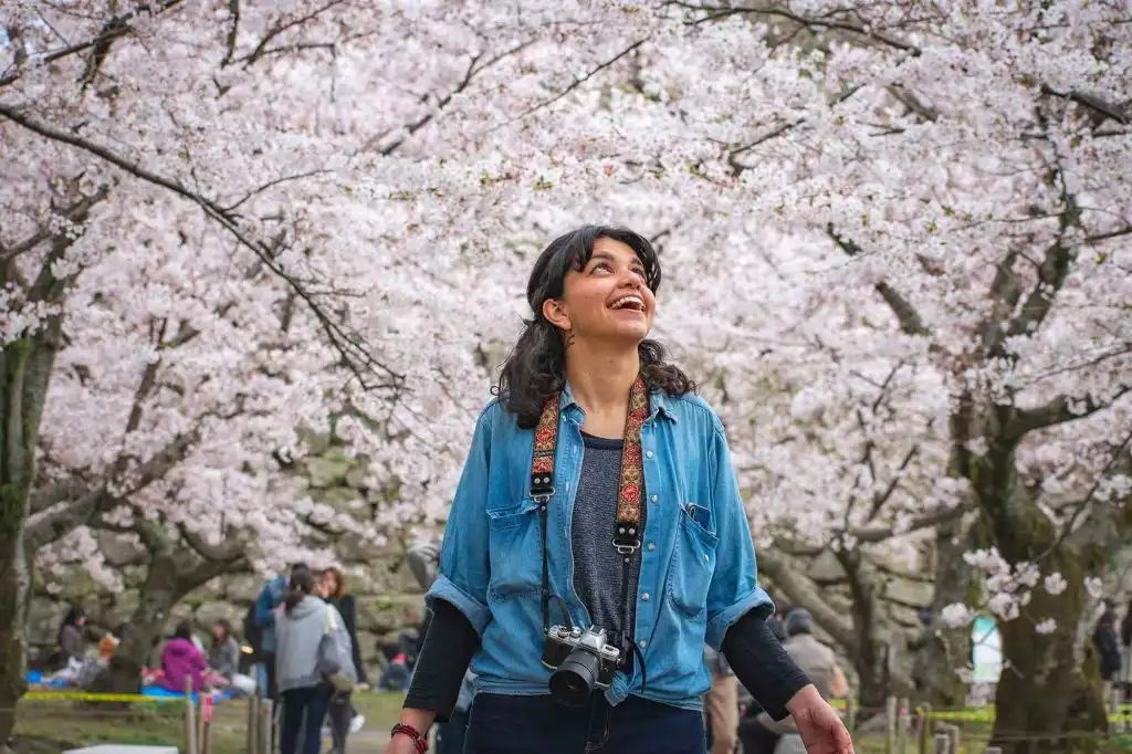 A woman looking up at cherry blossom trees in Japan