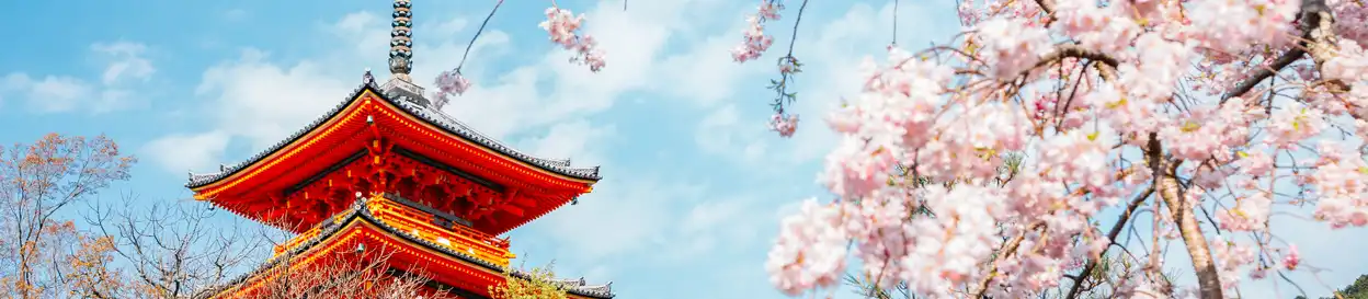 A Japanese temple and cherry blossom tree