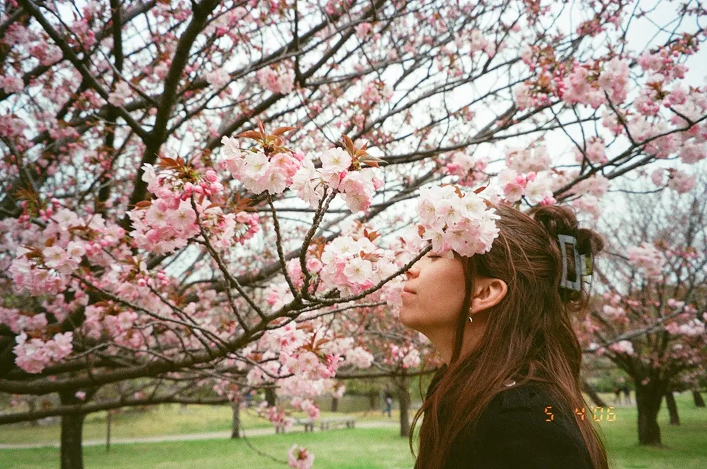 Teach English in Japan