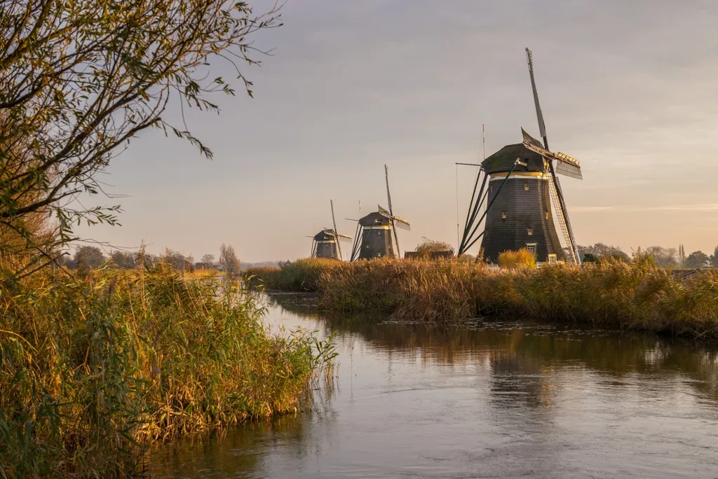 Teach English in The Netherlands