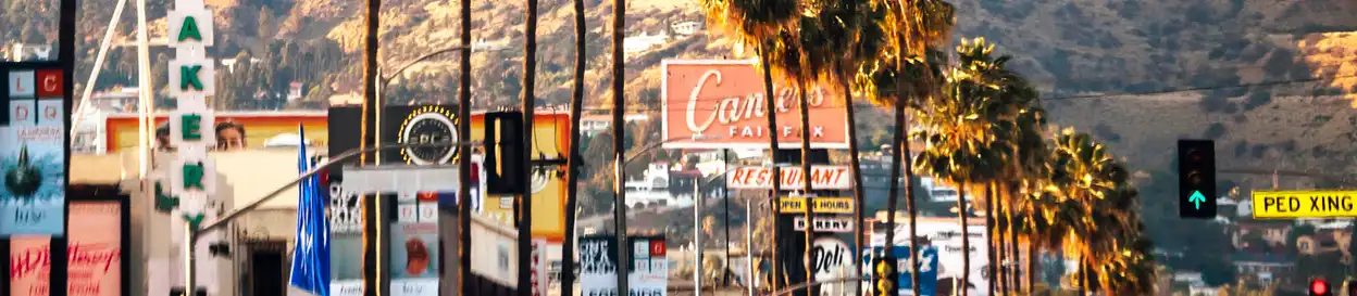 A street in Los Angeles lined with palm trees and signs