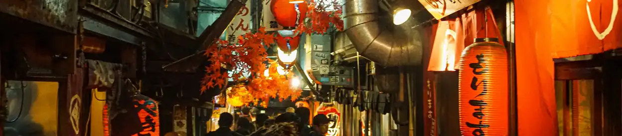 A busy narrow street in Japan