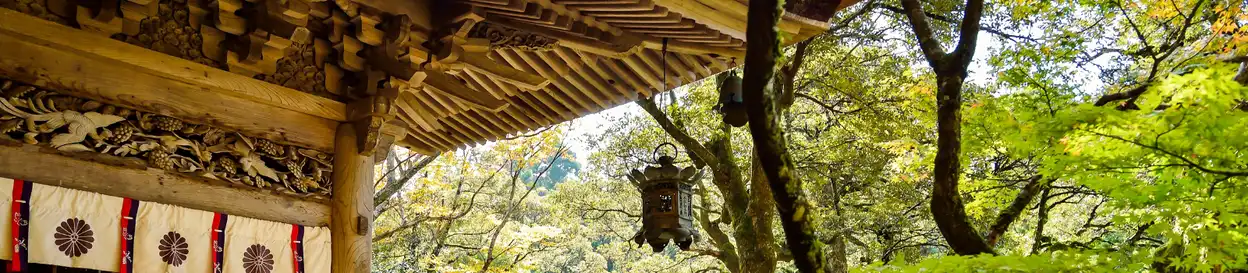 A traditional Japanese building in a forest