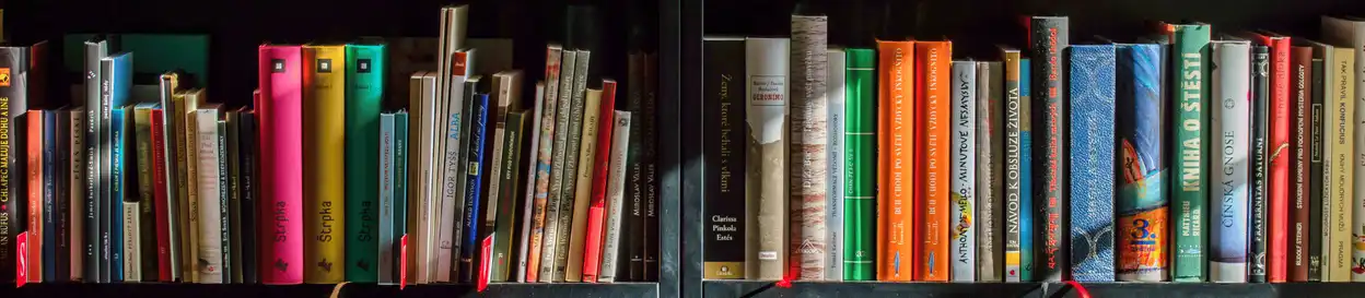 Books on a library shelf