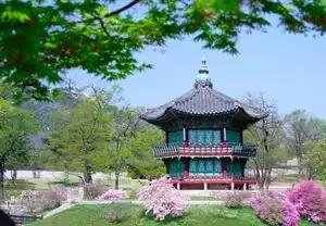 Teaching English in South Korea: Ajaz’s Story