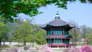 Teaching English in South Korea: Ajaz’s Story