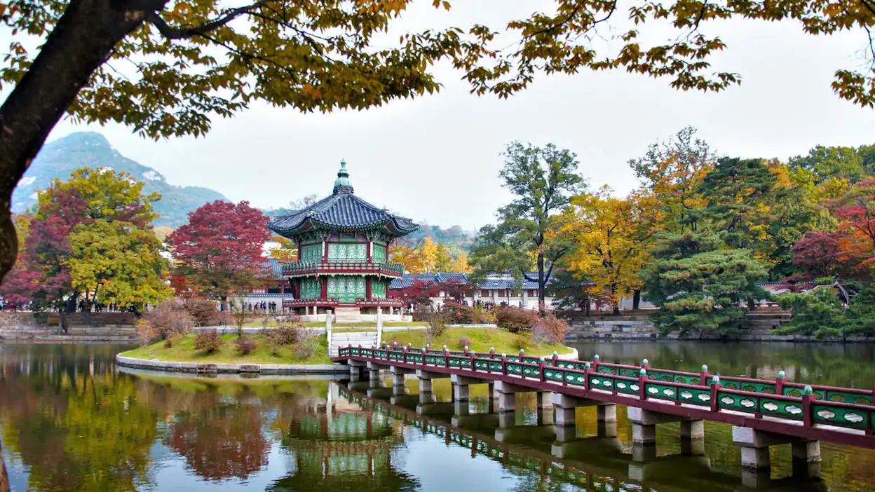 EPIK & JET Timeline: Get TEFL Certified in Time for Applications