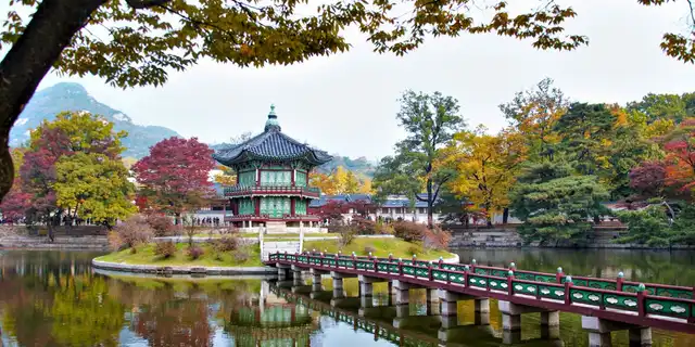 EPIK & JET Timeline: Get TEFL Certified in Time for Applications