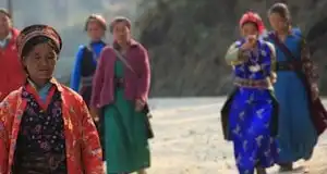 Jobs in Nepal