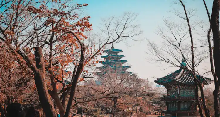 Jobs in South Korea