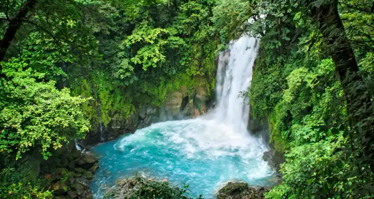 Jobs in Costa Rica