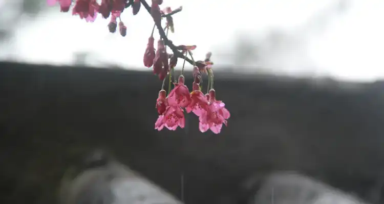 Jobs in China