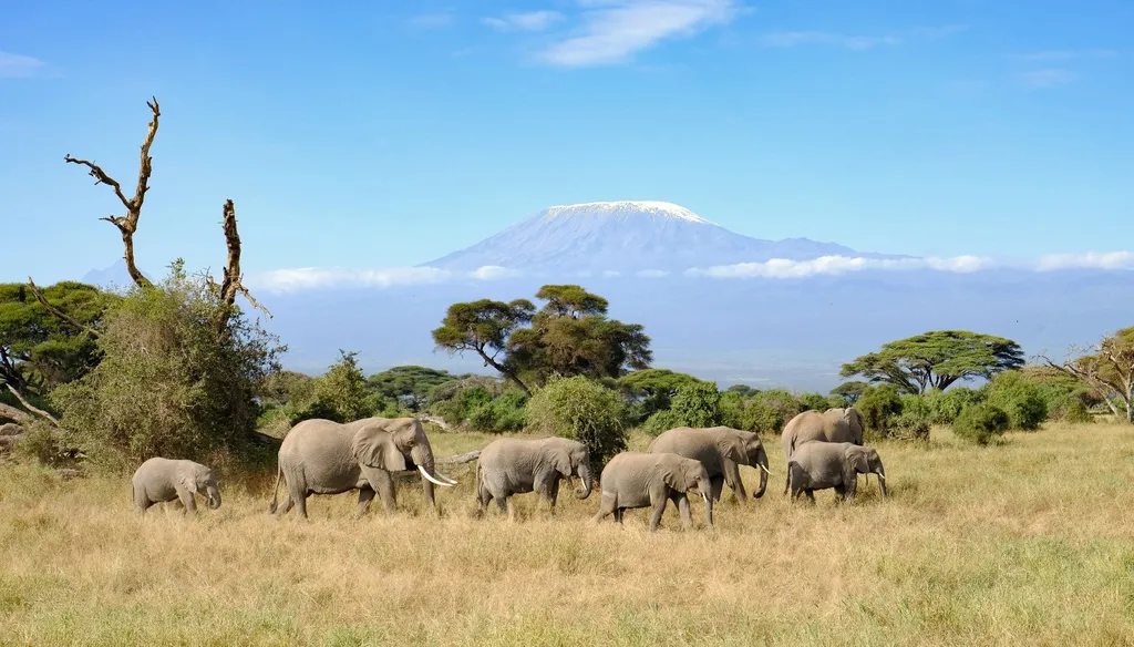 Teach English in Kenya